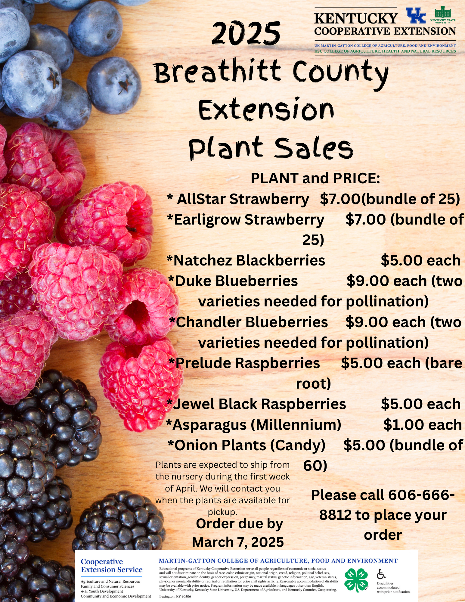 plant sales flyer